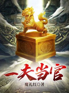 官途：一夫当官，鸡犬升天小说免费阅读 陆涛陈珮大结局完整版