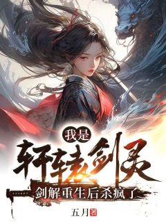 我是轩辕剑灵，剑解重生后杀疯了轩辕长汀全章节目录免费阅读