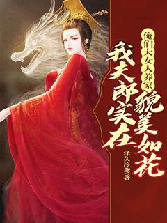 主角是凌琳司允的小说叫什么俺们大女人养家，我夫郎实在貌美如花免费全文阅读