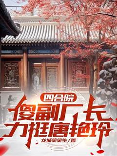 四合院，傻副厂长力挺唐艳玲小说免费阅读 何雨柱唐艳玲大结局完整版