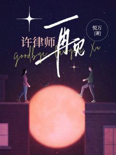 许律师，再见小说-秦亦乔许泽言全篇阅读