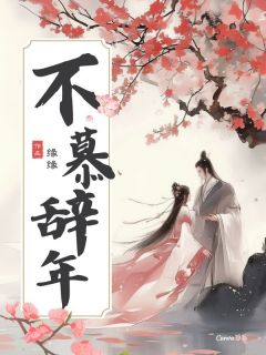 老书虫书荒推荐不慕辞年txt小说阅读