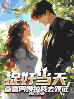 抖音爆款小说捉奸当天，首富阿姨拉我去领证叶安丁心慧免费txt全文阅读-随缘阅读网