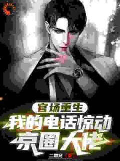 官场重生，我的电话惊动京圈大佬知乎后续免费试读
