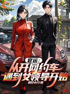 官运：从开网约车遇到女领导开始全本小说（官运：从开网约车遇到女领导开始）全文阅读