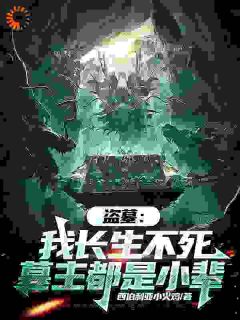 西伯利亚小火鸡写的小说盗墓：我长生不死，墓主都是小辈陈玄霍湘云全文阅读