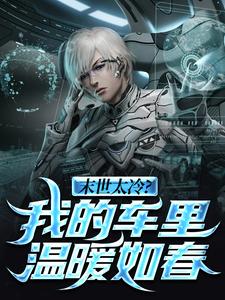 新书推荐末世太冷？我的车里温暖如春完整版小说-叶南林小灵最新章节阅读