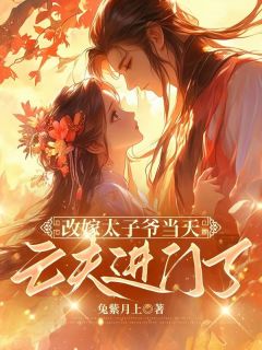 抖音小说小叔子兼祧两房后，夫君回来了，主角林之念陆缉尘最后结局小说全文免费