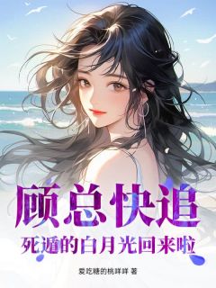 爆款小说顾总快追，死遁的白月光回来啦！主角苏秋雨顾墨霆全文在线完本阅读