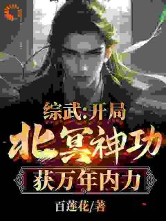熬夜也要看完的综武:开局北冥神功,获万年内力小说推荐-随缘阅读网