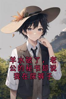 羊水破了，老公的秘书却说我在尿裤子精彩小说-羊水破了，老公的秘书却说我在尿裤子目录阅读