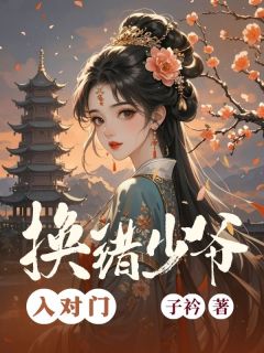 熬夜也要看完的换错少爷入对门小说推荐