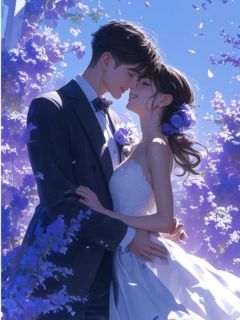 聂婉陆言死遁后，前夫的病好了全章节免费阅读