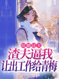 结婚这天，渣夫逼我让出工作给青梅小说(连载文)-林婉柠沈律无广告阅读