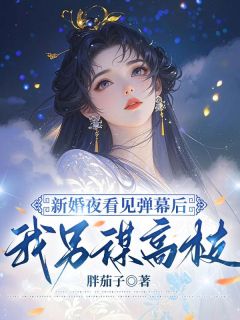 新婚夜看见弹幕后，我另谋高枝谢锦姝沈承安大结局在线阅读