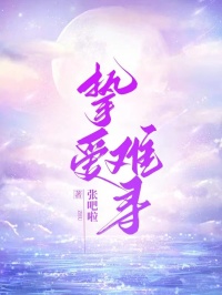 挚爱难寻小说姜悦傅恒免费阅读-随缘阅读网