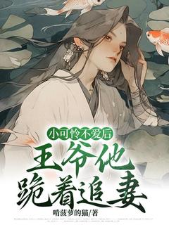 爆款热文秦赴年虞凛在线阅读-小可怜不爱后，王爷他跪着追妻全章节列表