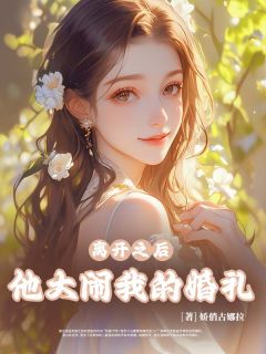 全章节小说离开之后，他大闹我的婚礼许苑最新阅读