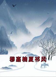 独家穆嘉楠夏祁风小说-主角穆嘉楠夏祁风全文免费阅读