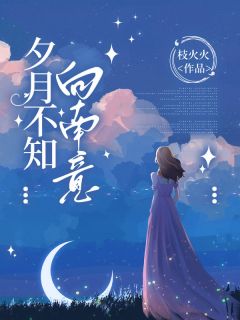 夕月不知向南意薛琛温珮大结局在线阅读
