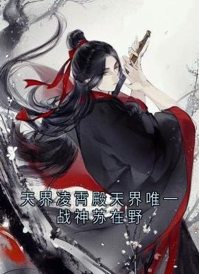 天界凌霄殿天界唯一战神苏在野苏在野珠落全章节完结版在线阅读-随缘阅读网