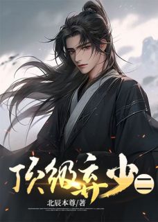 顶级弃少二小说百度云完整章节列表免费阅读