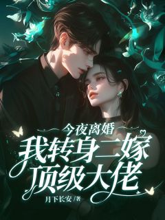 私藏读物今夜离婚，我转身二嫁顶级大佬南希时凛完结版免费阅读