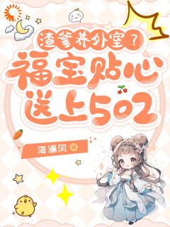 渣爹养外室？福宝贴心送上502苏沫沫云锦全章节在线阅读