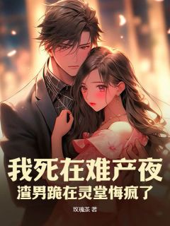 唐星傅寒洲(原文完整)我死在难产夜，渣男跪在灵堂悔疯了无弹窗免费阅读-随缘阅读网