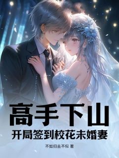 颜汐月段无痕小说结局