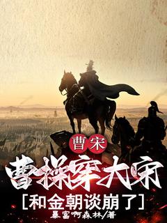 曹宋:曹操穿大宋,和金朝谈崩了!完整版免费阅读,曹操赵桓小说大结局在哪看-随缘阅读网
