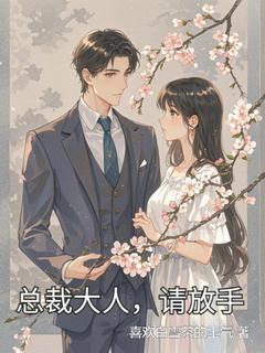 熬夜也要看完的总裁大人，请放手小说推荐