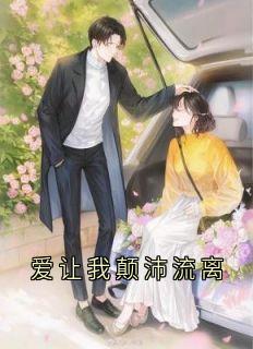爱让我颠沛流离小说(连载文)-邵鹤年宋烟无广告阅读