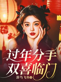 过年分手，双喜临门by游鸟飞鱼免费阅读小说大结局