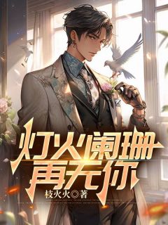 灯火阑珊再无你许辰苏韵小说全章节最新阅读