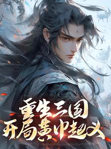 张新穿越三国张新刘华小说完整在线阅读