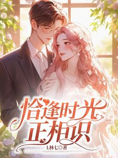 抖音完结恰逢时光正相识陈美琳林时远(全文在线阅读)