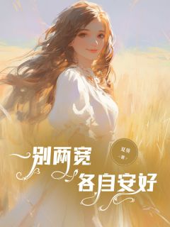 一别两宽，各自安好小说(完结版)-陆晚晚傅子言在线阅读-随缘阅读网