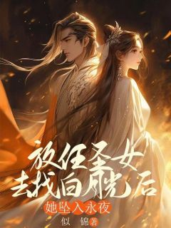 放任圣女去找白月光后，她坠入永夜免费阅读全文，主角沈致远林慕婉小说完整版