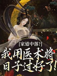 良心推荐家道中落？我用医术将日子过好了！小说试读