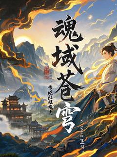 魂域苍穹凌风冰璃-专吃红烧肉小说