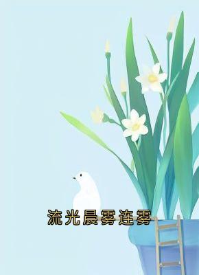 流光晨雾连雾小说好看吗 连雾陆西野最后结局如何