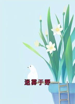 迷雾于野连雾陆西野-连雾小说-随缘阅读网