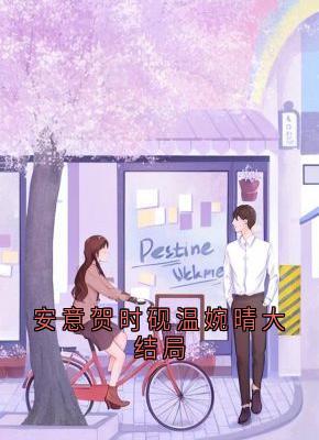 安意贺时砚小说无广告阅读-随缘阅读网