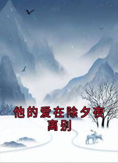主角沈延初霍晚棠小说完整版-他的爱在除夕夜离别免费阅读全文
