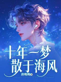 十年一梦散于海风(贺寻舟沈晚宁)全文章节在线阅读