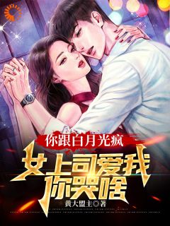 叶盛林美盈主角的小说完结版你跟白月光疯，女上司爱我你哭啥全集