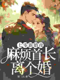 七零新婚夜，麻烦首长离个婚！小说全集(林菀宁沈行舟)无弹窗广告阅读-随缘阅读网