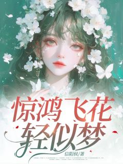 陆星辰林淼完整版惊鸿飞花轻似梦全文最新阅读