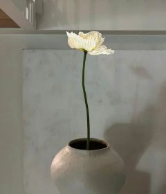重生到姐姐抛弃指腹为婚对象这天在线阅读 许岚秦山免费小说精彩章节